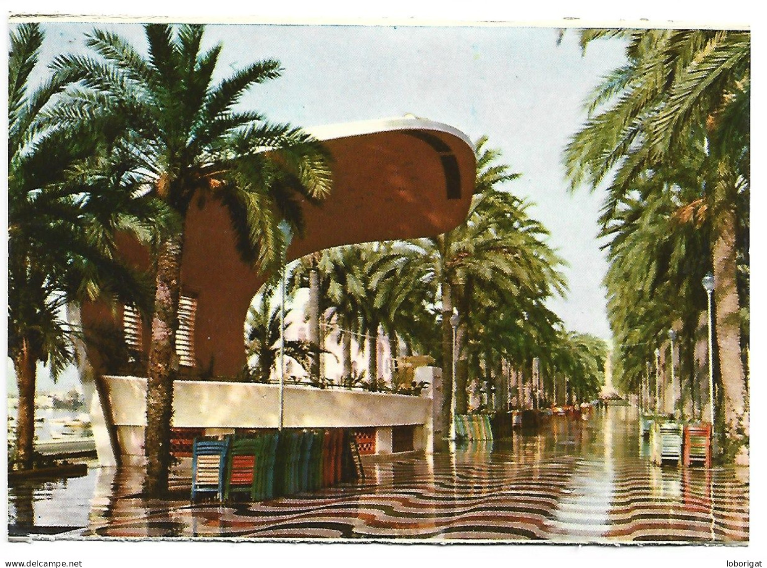 EXPLANADA DE ESPAÑA Y AUDITORIUM / ESPLANADE OF SPAIN AND AUDITORIUM.-  ALICANTE.- ( ESPAÑA ) - Alicante