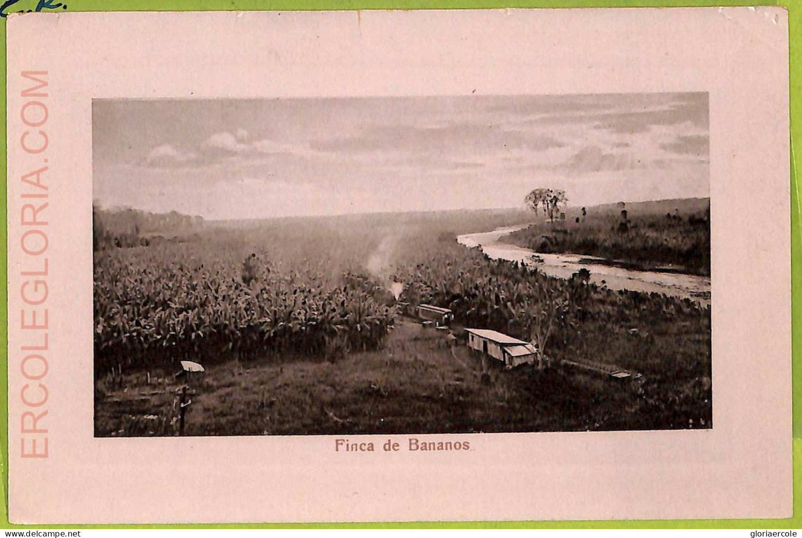 Aa6070 - COSTA RICA - Vintage Postcard  - Finca De Bananos - Costa Rica