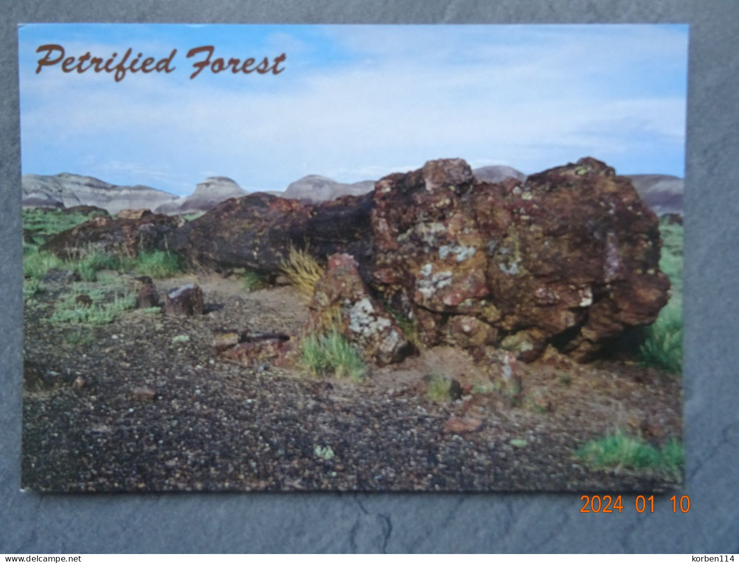 PETRIFIED FOREST NATIONAL PARK - Sonstige & Ohne Zuordnung