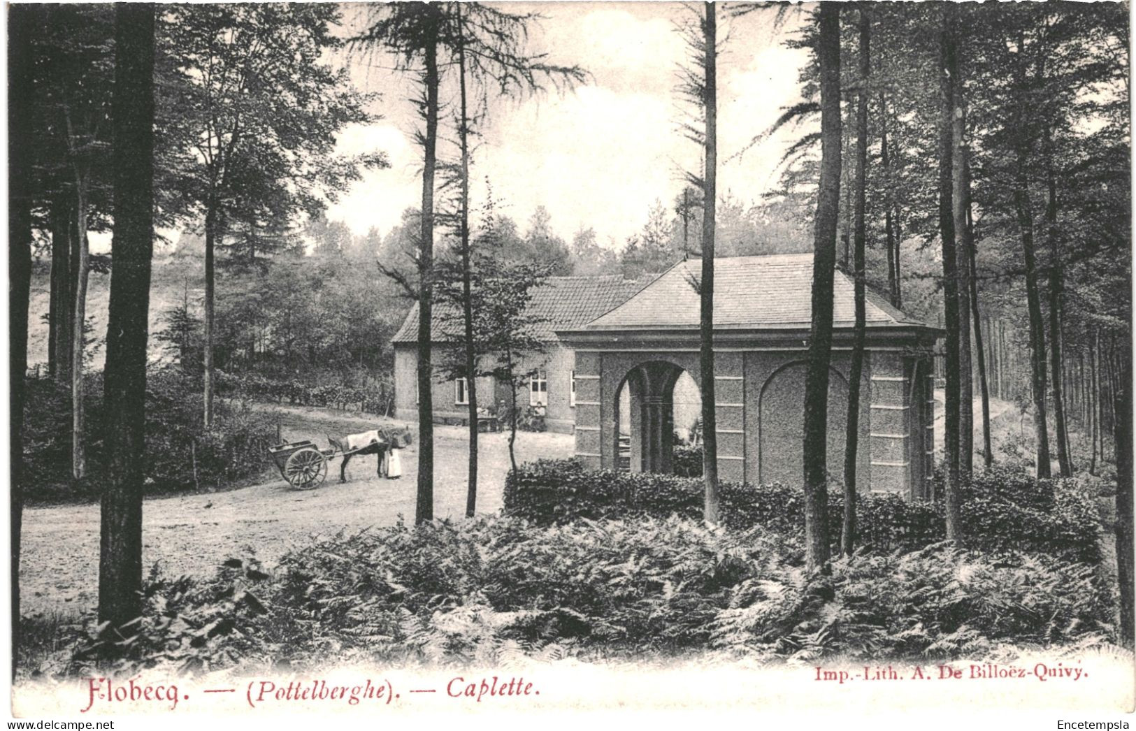 CPA Carte Postale Belgique Flobecq  Caplette  Pottelberghe 1917 VM75951ok - Vloesberg
