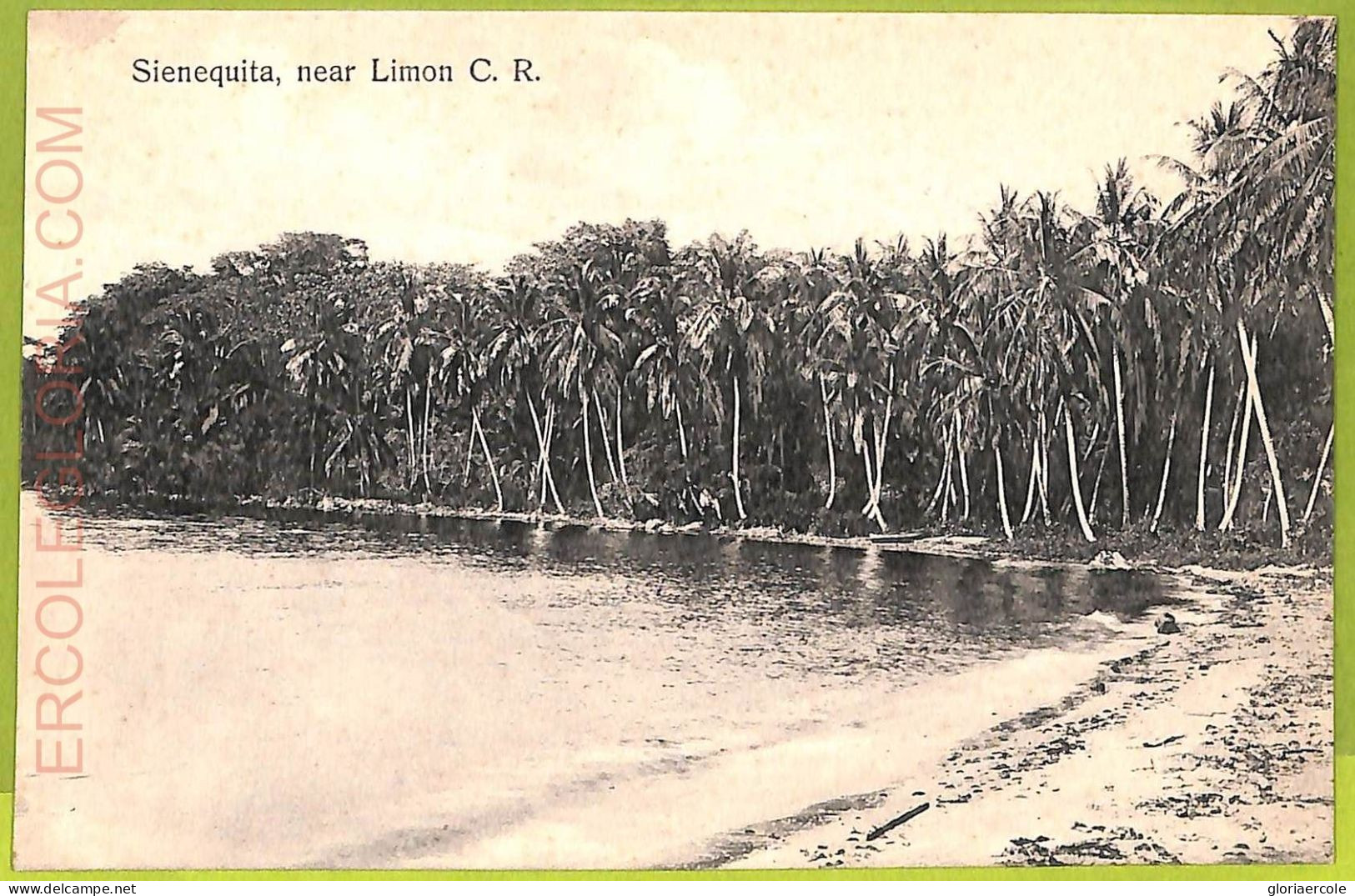 Aa6096 - COSTA RICA - Vintage Postcard - Limon, Sienequita - Costa Rica