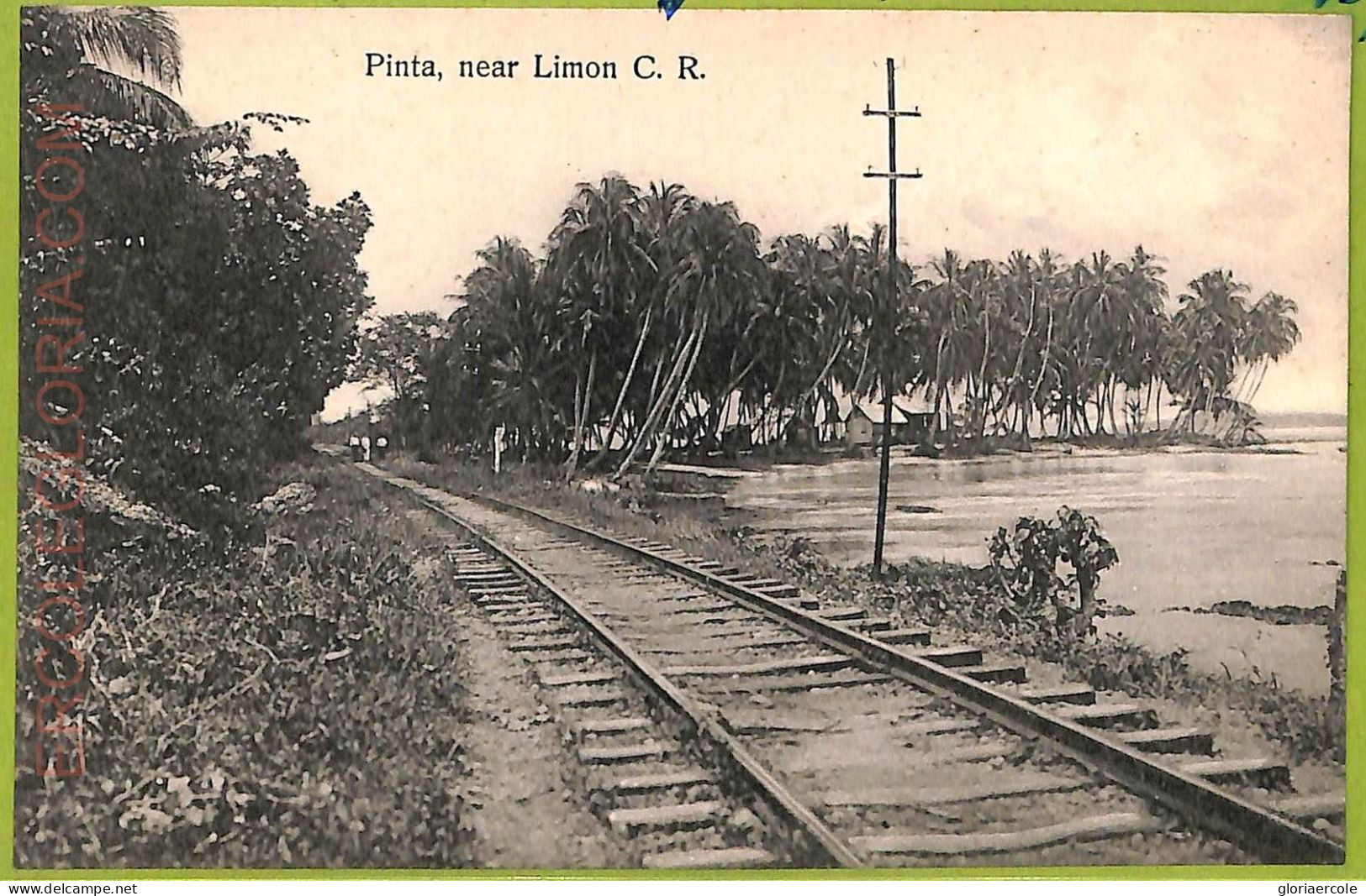 Aa6097 - COSTA RICA - Vintage Postcard - Pinta, Near Limon - Costa Rica