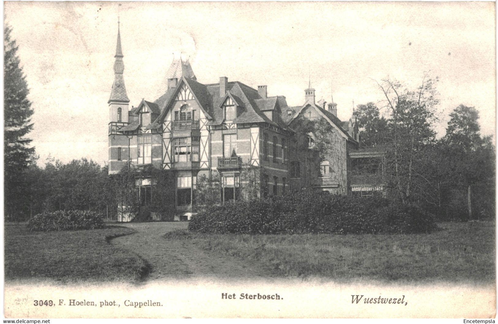 CPA Carte Postale Belgique Wuestwezel  Het Sterbosch 1907  VM75955ok - Wuustwezel