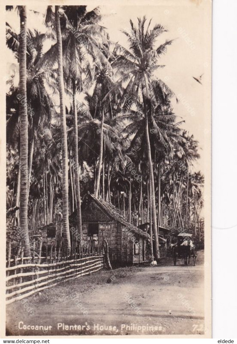 Real Photo Coconut Planter' S House - Philippines