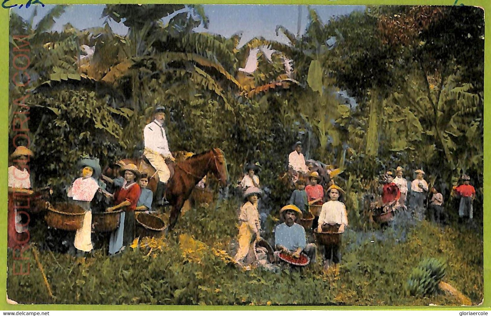 Aa6116 - COSTA RICA - Vintage Postcard - Ethnic - Costa Rica