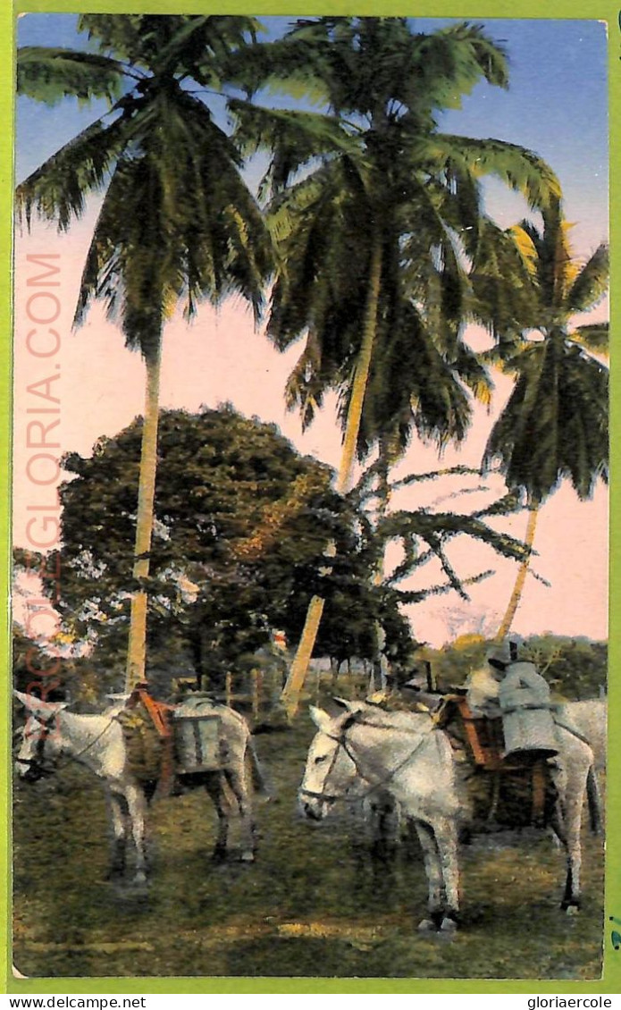 Aa6117 - COSTA RICA - Vintage Postcard - Ethnic - Costa Rica