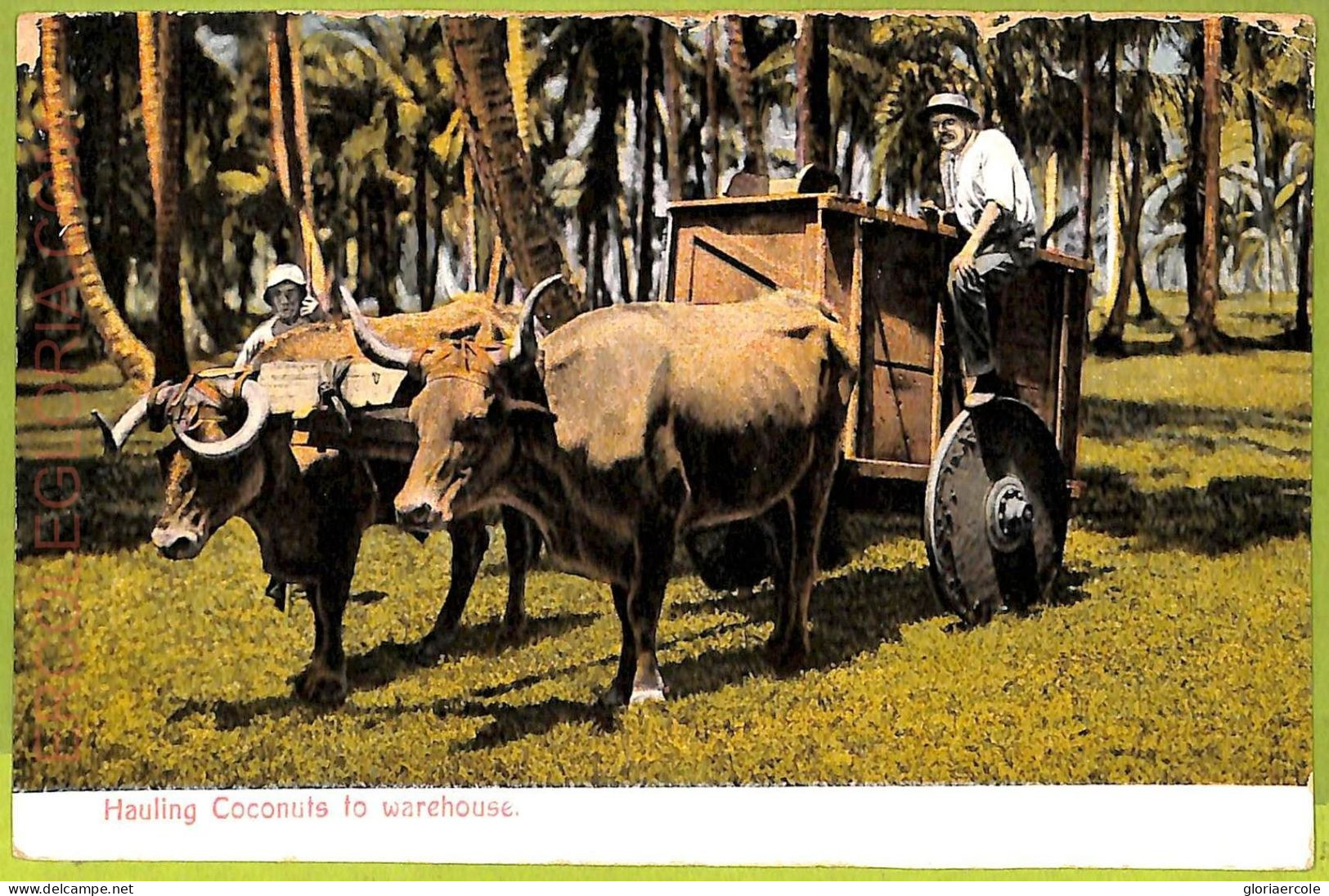 Aa6140 - COSTA RICA - Vintage Postcard - Ethnic - Amérique