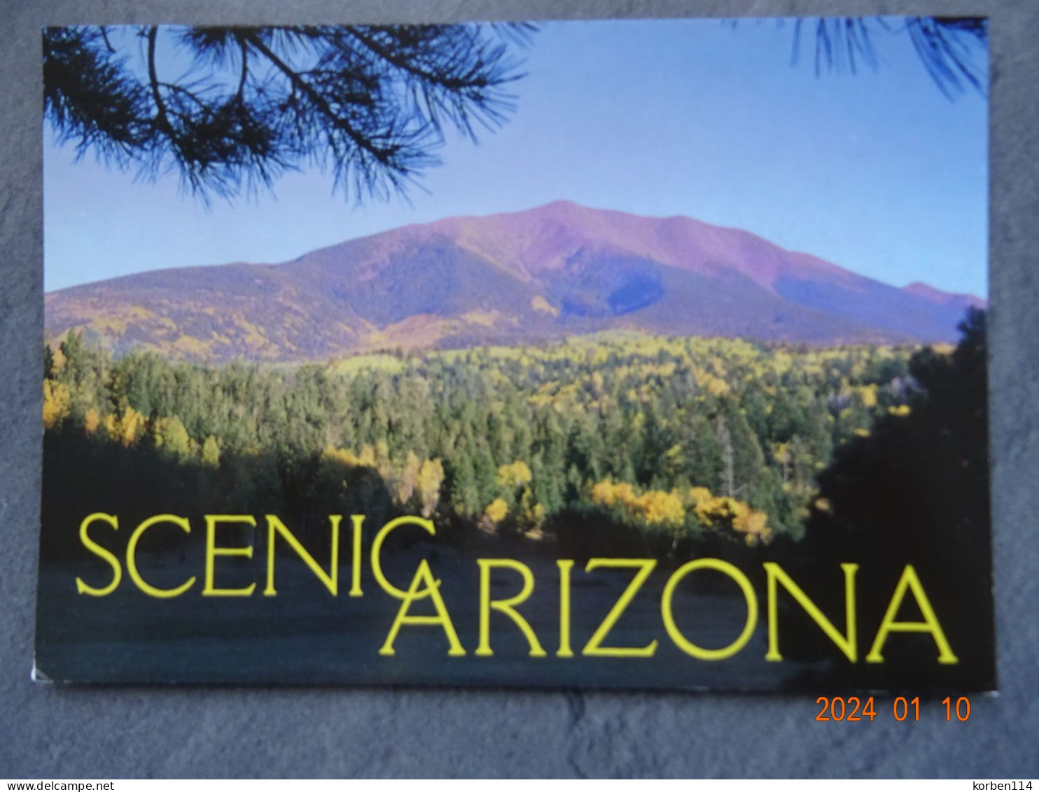 SCENIC ARIZONA - Altri & Non Classificati