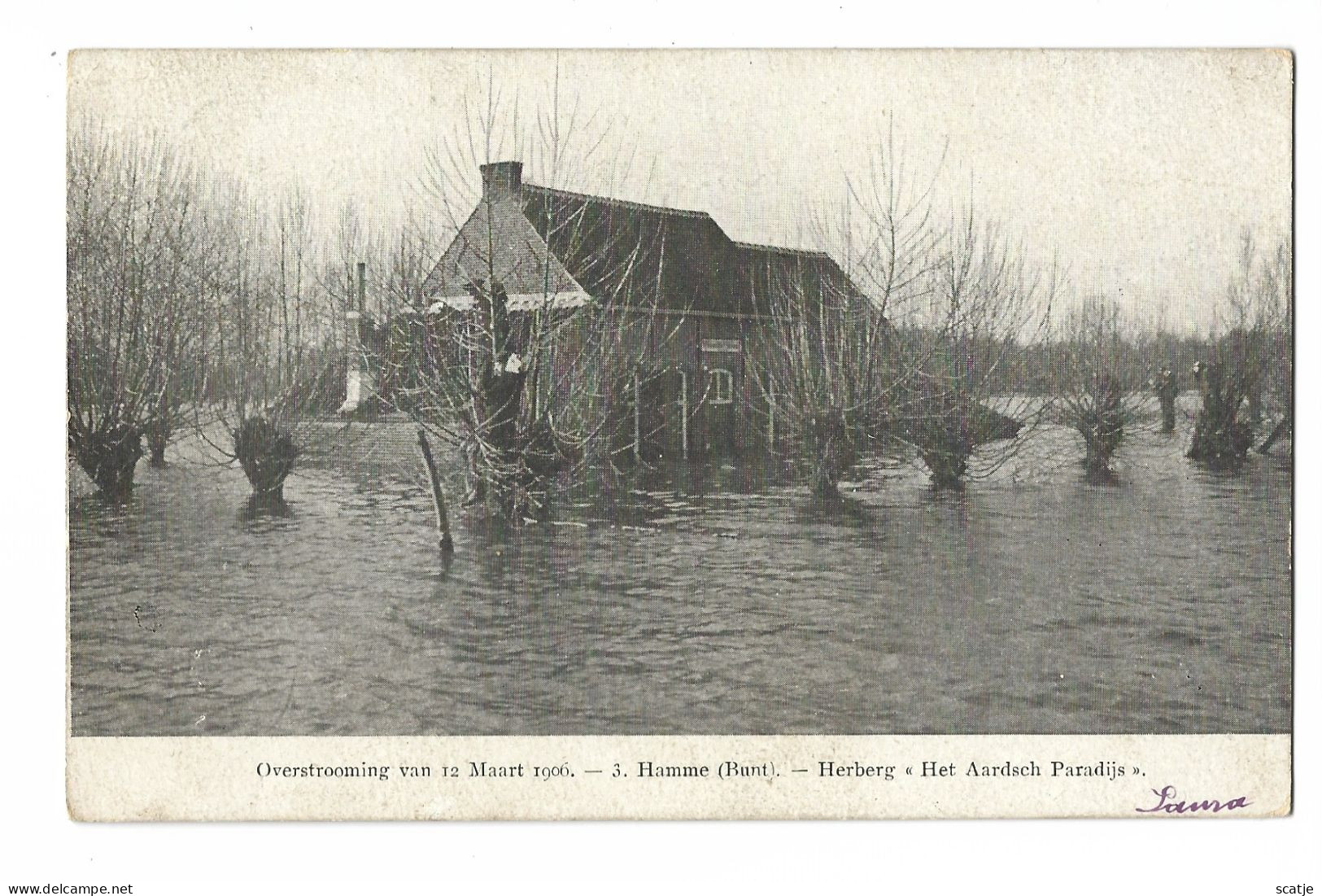 Hamme.   -   (Drij Goten).   Overstroming Van 12 Maart 1906   -   Bornhem   1906  Naar  Bruxelles - Hamme