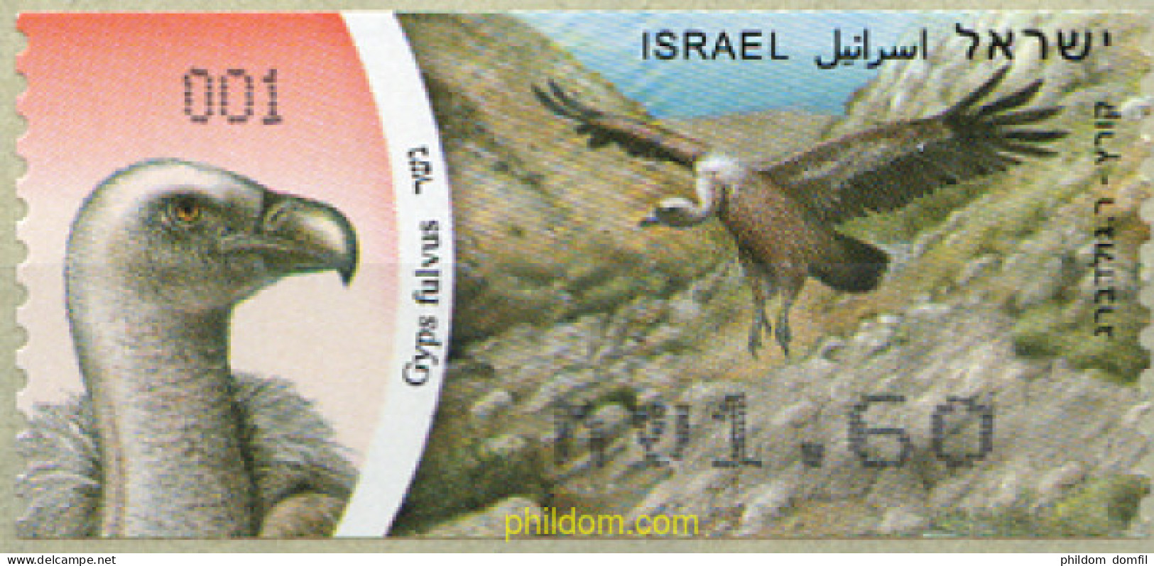 223510 MNH ISRAEL 2008 BUITRE - Unused Stamps (without Tabs)