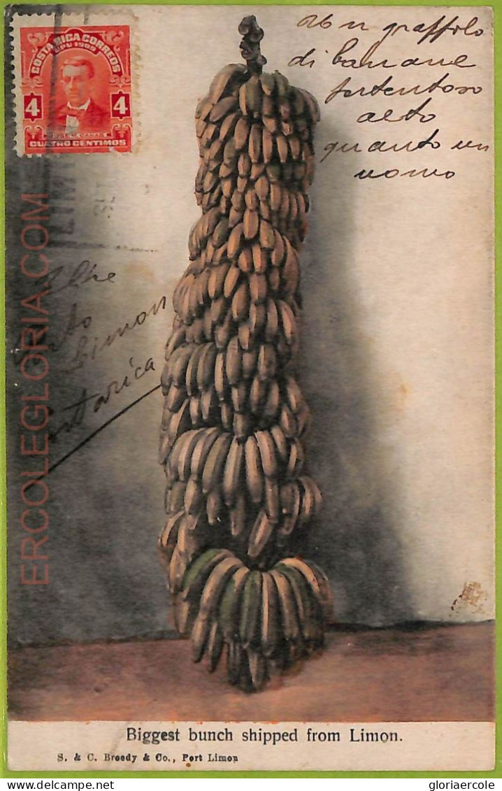 Af2322 - COSTA RICA - Vintage Postcard - Limon - 1910's - Costa Rica