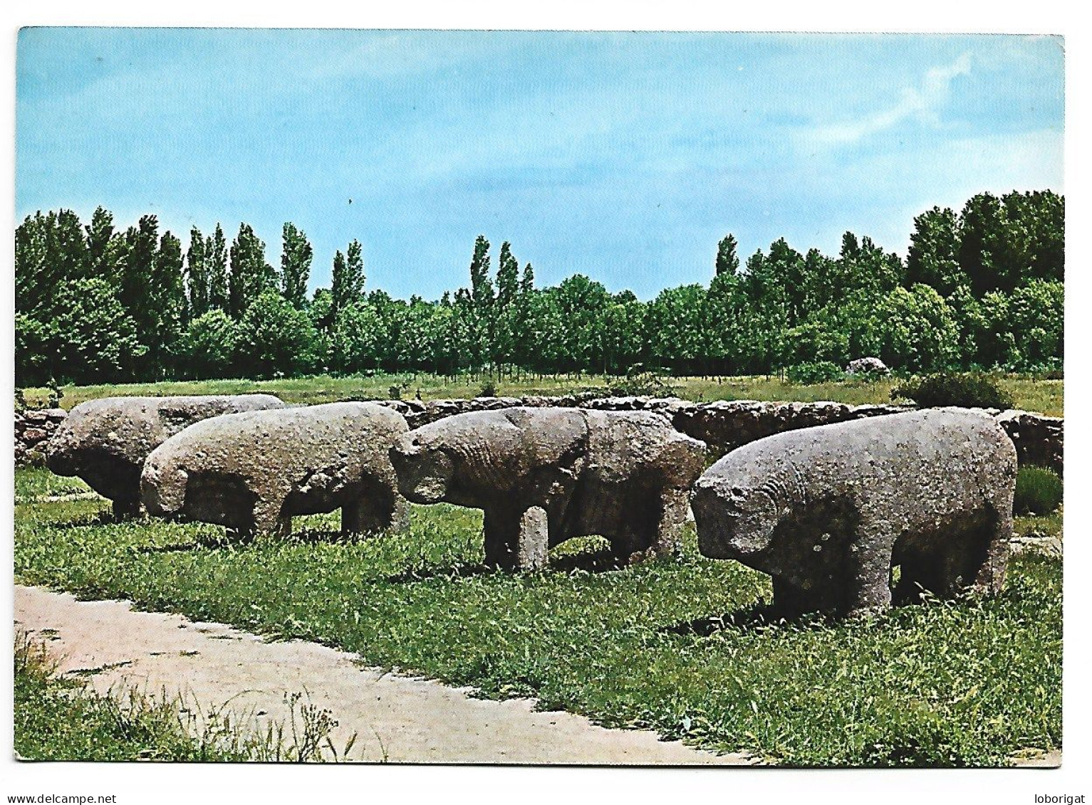 " TOROS DE GUISANDO ".-  EL TIEMBLO - AVILA.- ( ESPAÑA ) - Ávila