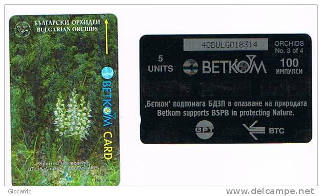 BULGARIA - GPT - BETKOM 1996 FIORI  : SPURRED HELLEBORINE  (CEPHALANTHERA EPIPACTOIDES) - CODE 40BULG - USED - RIF. 7520 - Fiori