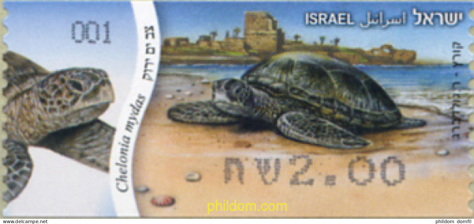 276787 MNH ISRAEL 2012 TORTUGA - Ongebruikt (zonder Tabs)