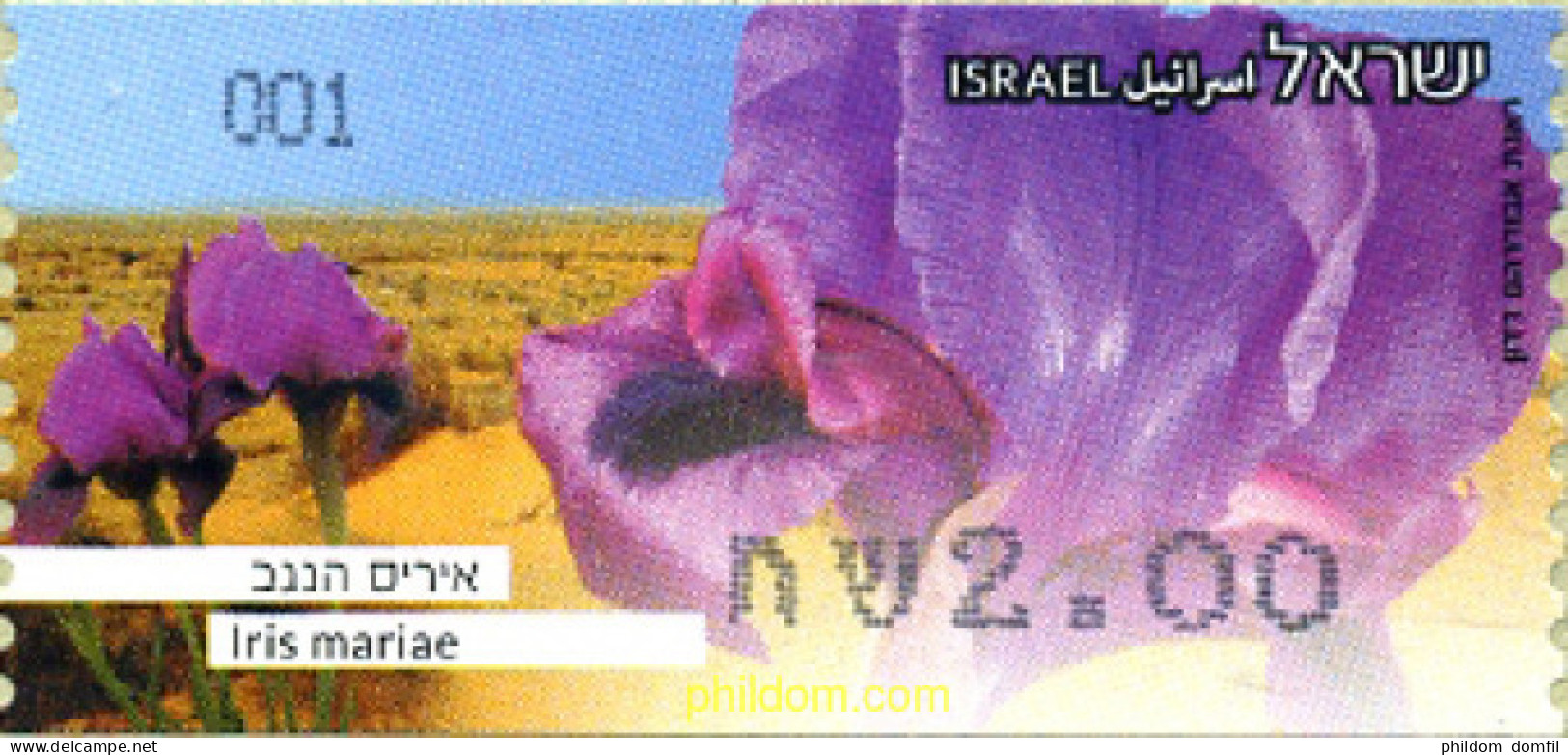 298215 MNH ISRAEL 2013 FLORES EN PELIGRO - Ungebraucht (ohne Tabs)