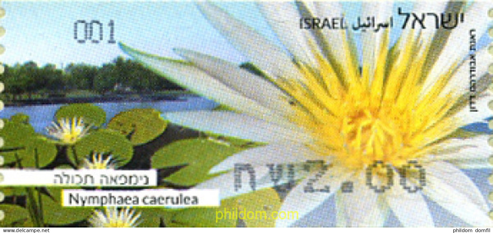 307897 MNH ISRAEL 2013 MARGARITA - Ongebruikt (zonder Tabs)
