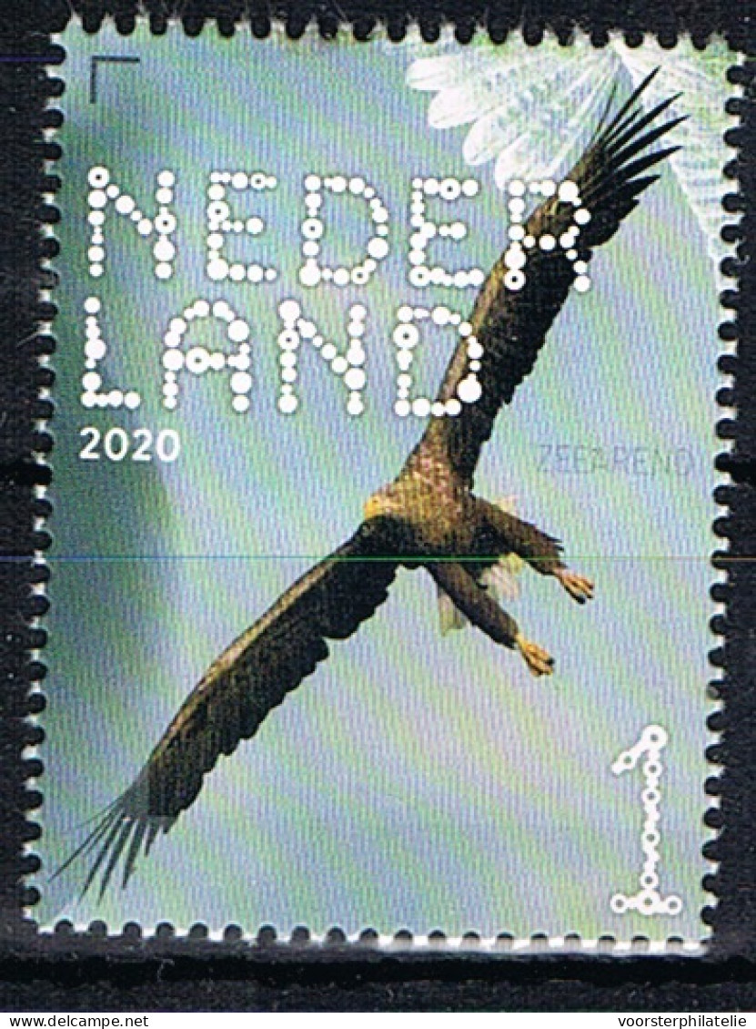 D(B) 212 ++ NEDERLAND NETHERLANDS BIRDS OF PREY ROOFVOGELS OISEAUX MNH ** - Ongebruikt