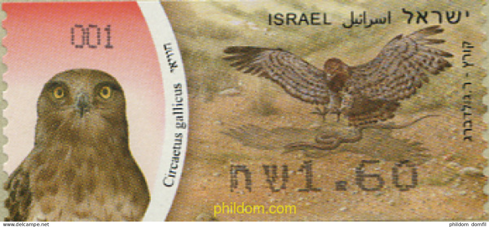 662196 MNH ISRAEL 2009 AVES - Nuovi (senza Tab)