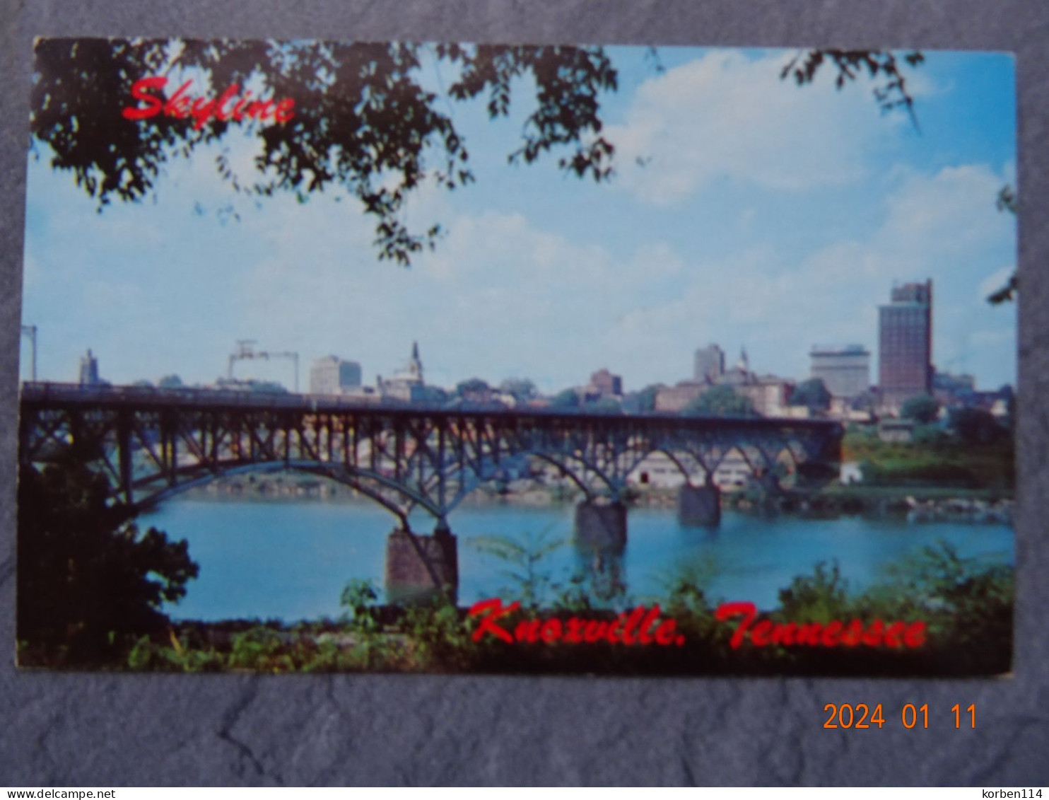 SKYLINE - Knoxville