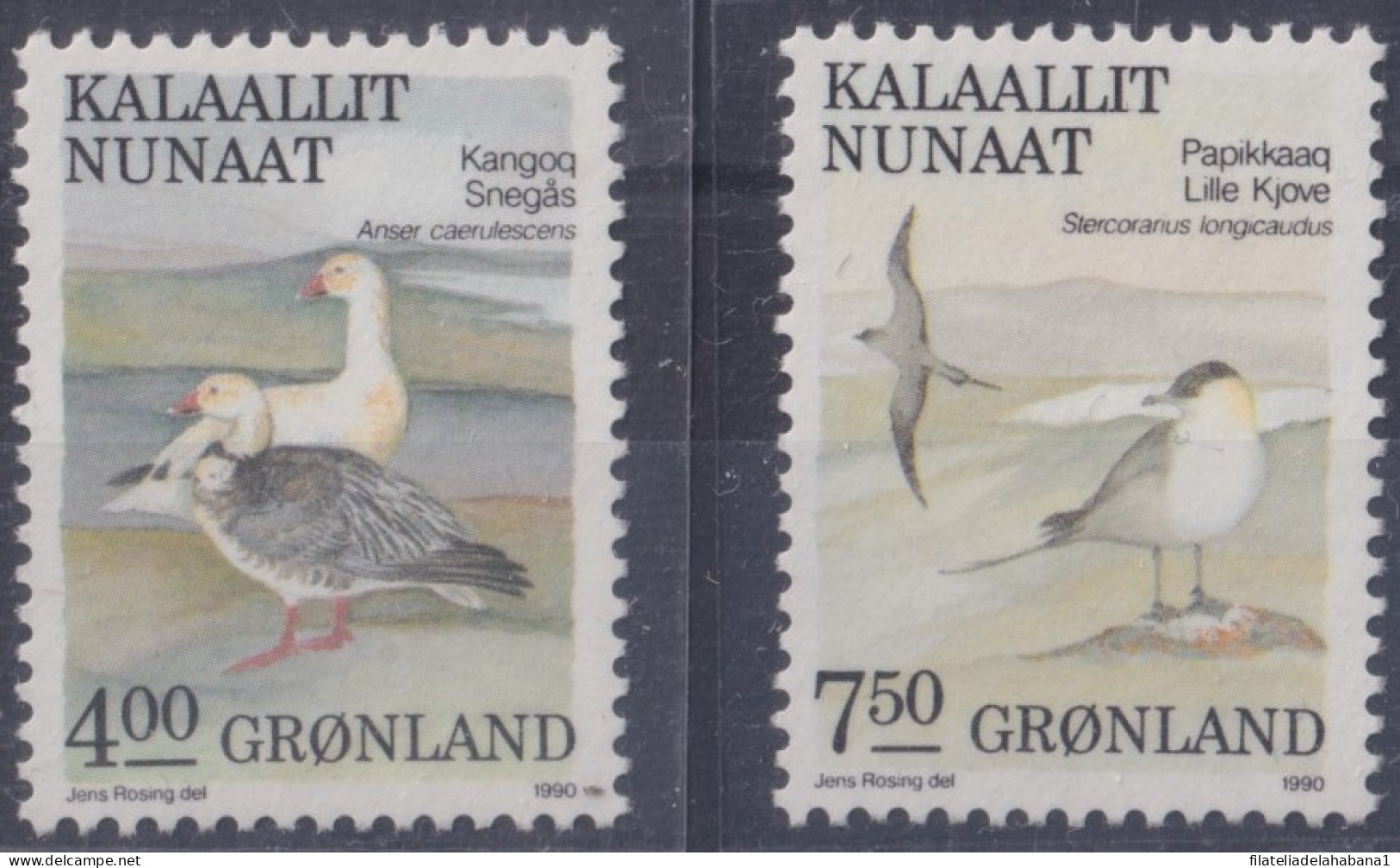 F-EX47505 GRONLAND GREENDLAND MNH 1990 BIRD PAJAROS AVES OISEAUX VÖGEL.  - Konvolute & Serien