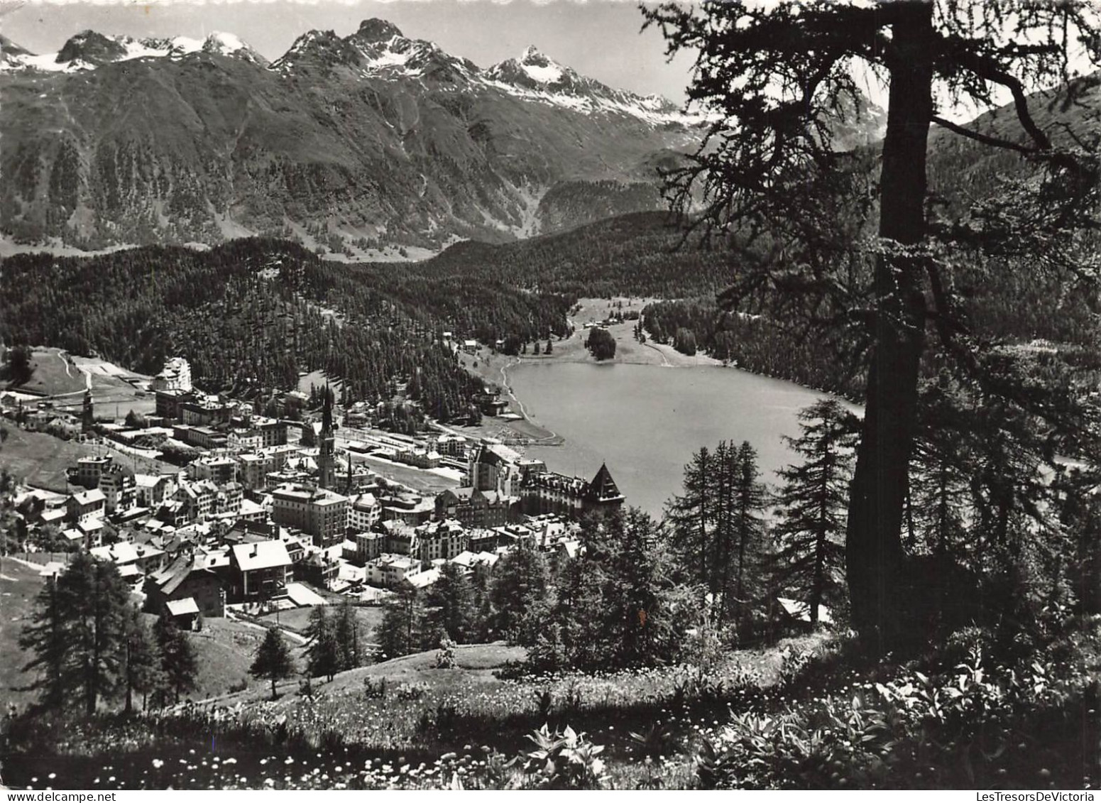 SUISSE - Saint Moritz - Vue D'ensemble - Carte Postale Ancienne - St. Moritz