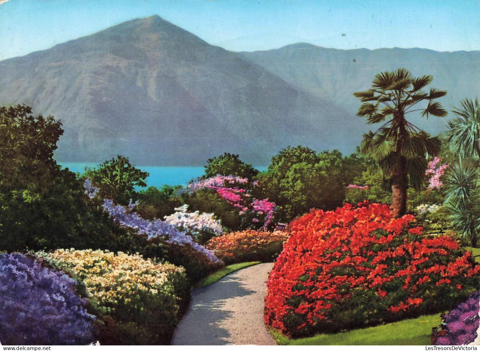 ITALIE - Lago Di Como - Villa Carlotta - Giardino - Carte Postale - Lecco