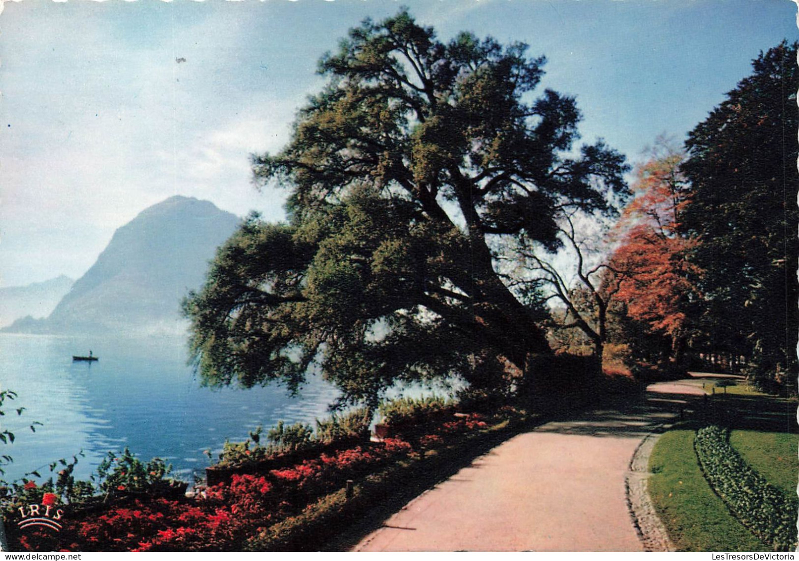 SUISSE - Lugano - Motivo Nel Parco Ciani - Carte Postale - Lugano