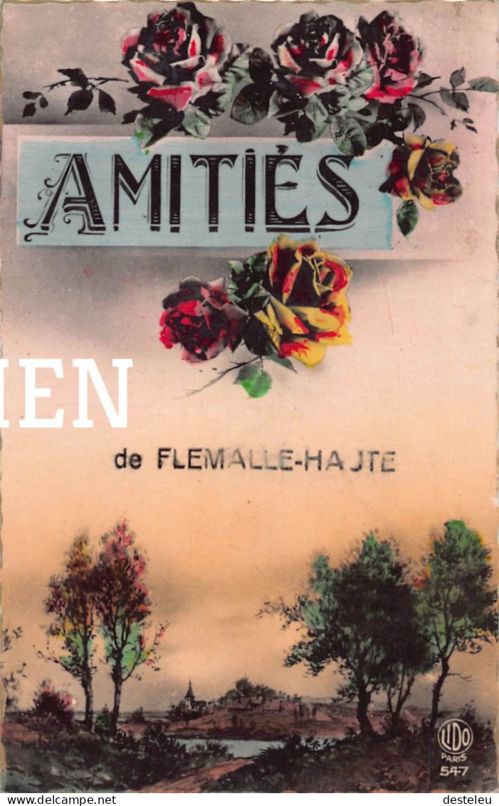 Amitiés De Flémalle Hajte - Flémalle