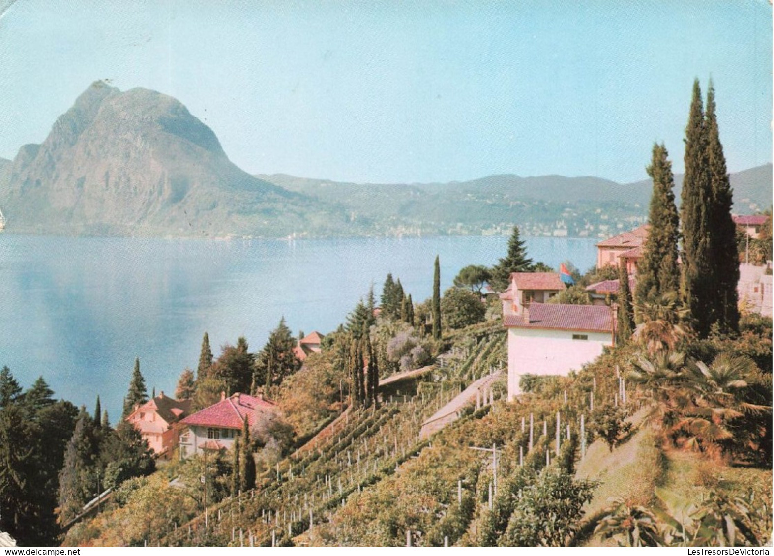 SUISSE - Lugano - Castagnola - Panorama - Carte Postale - Lugano