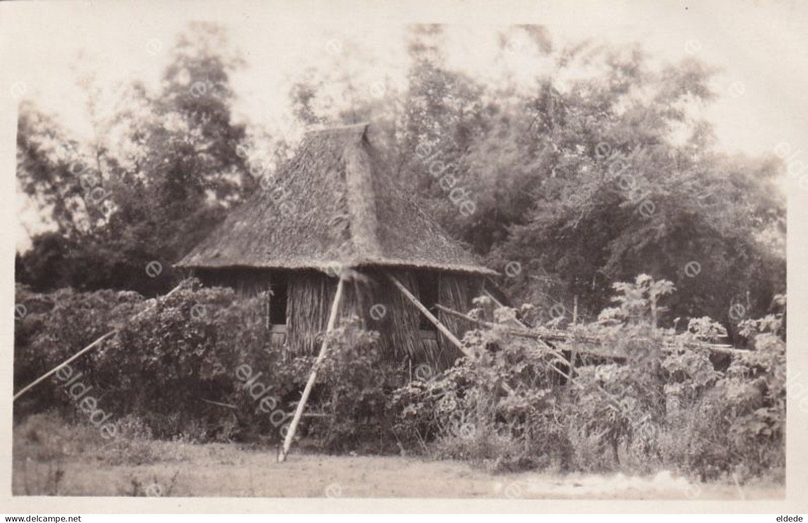 Real Photo Native Nipa Hut In The Countryside With Bamboo Sticks Supporting The Roof . Bambou - Philippines