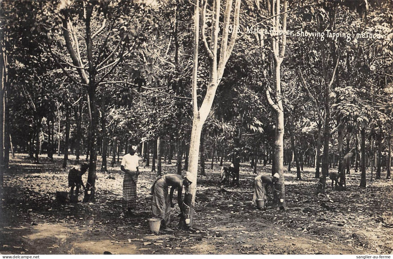 CPA MALAISIE SHOWING TAPPING METHOD - Maleisië