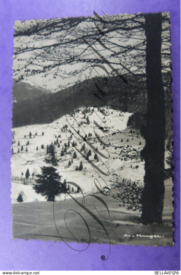 Ventron    Vue Sur La Vallée De Mensfoux. Vosges D88 - Sonstige & Ohne Zuordnung