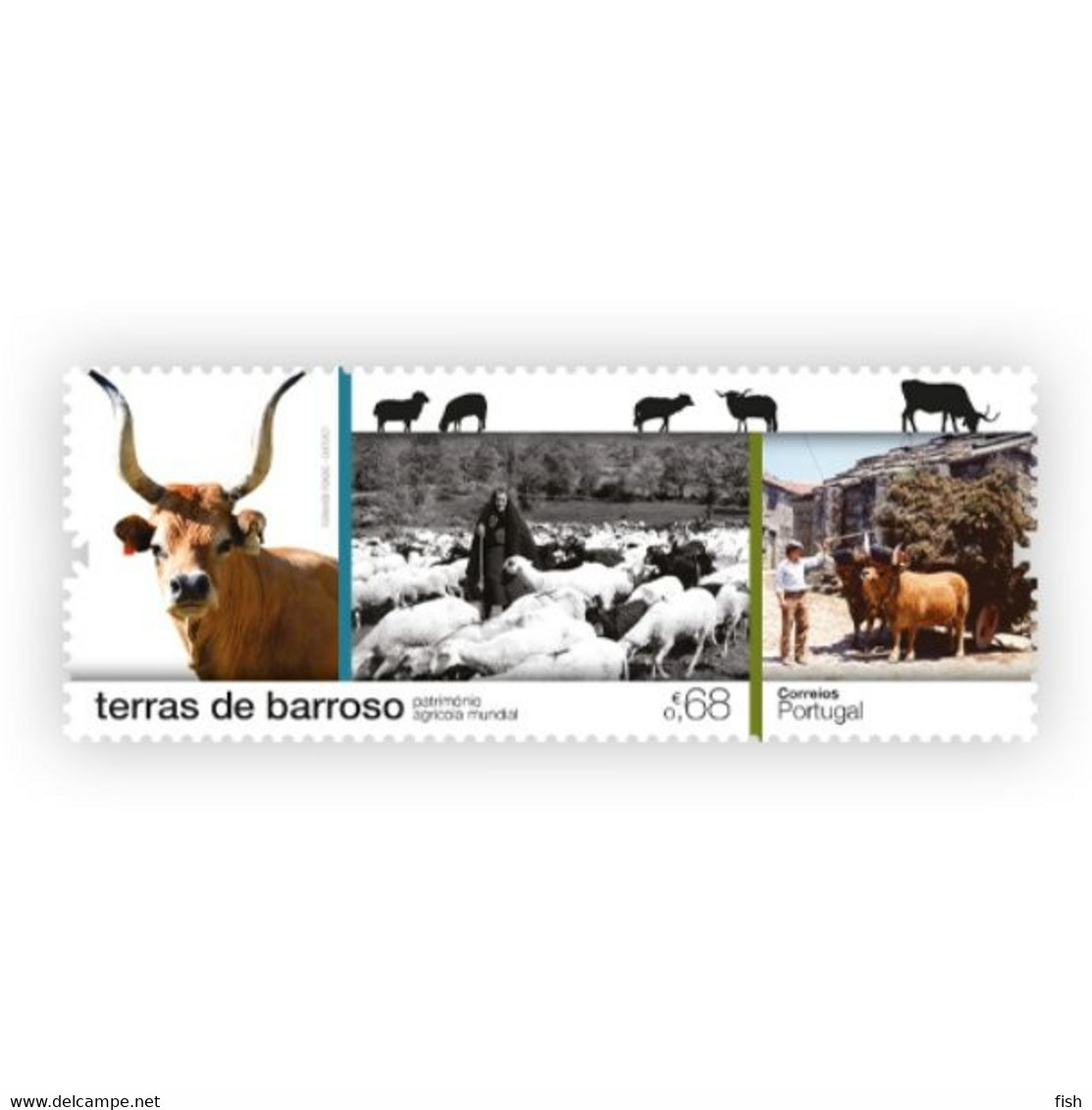 Portugal ** & Barroso Lands, World Agricultural Heritage 2021 (77686) - Cows