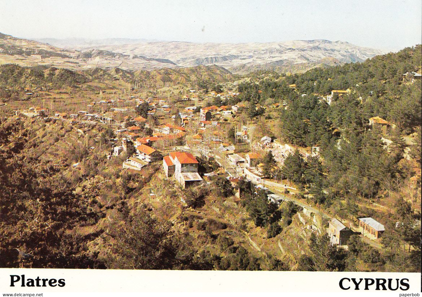 PLATRES - CYPRUS - Chypre