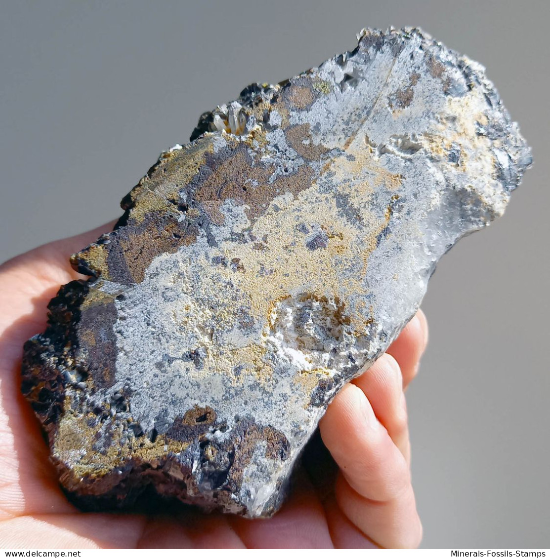 #AUG03.10 Schöne Sphalerit v. MARMATIT XX (Nikolaevskoye Mine, Dalnegorsk, Primorskiy Kray, Russland)