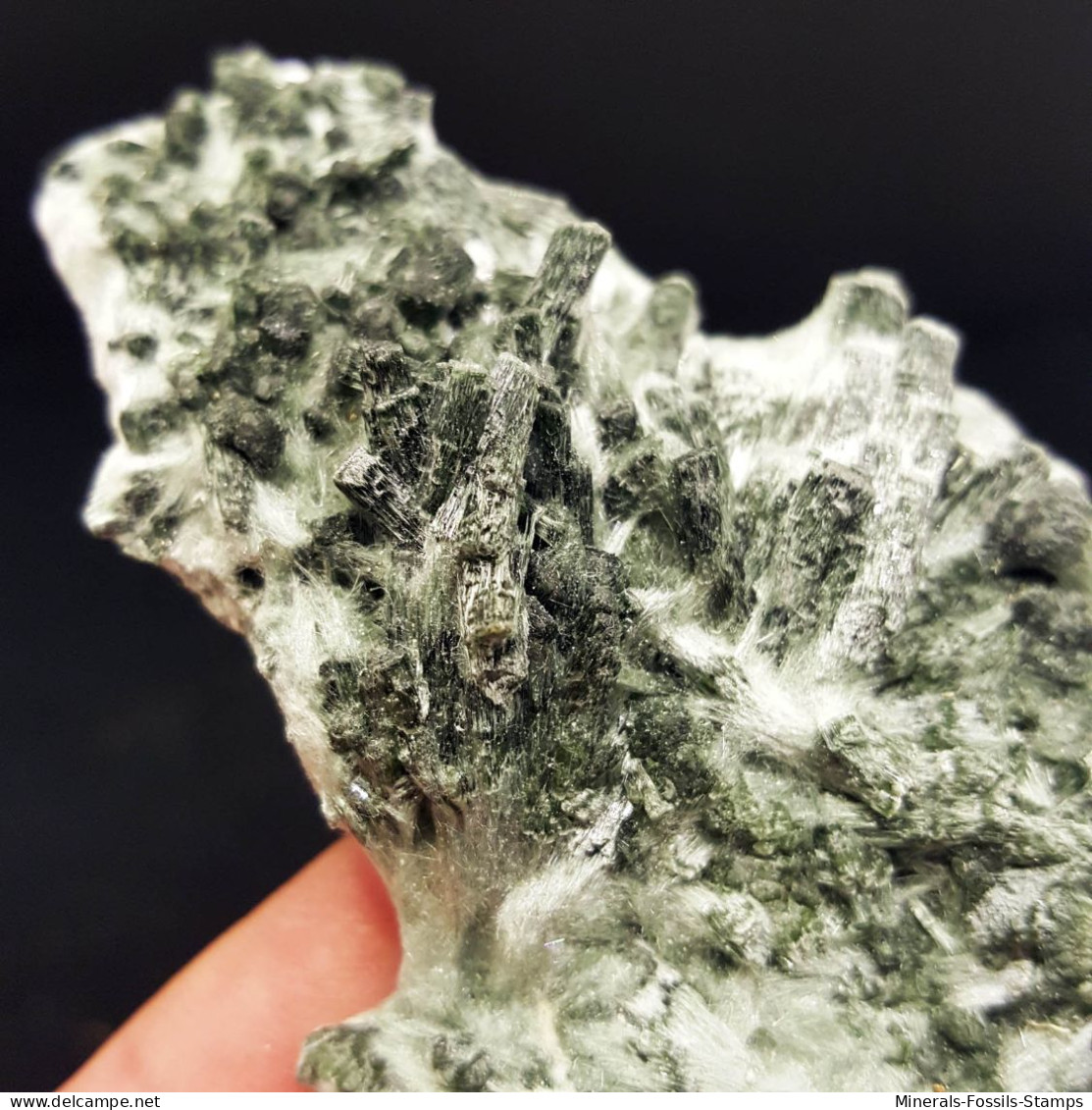 #1.02 - RARA TRAVERSELLITE Var. Diopside Cristalli (Traversella Mine, Torino, Piemonte, Italia) - Minéraux