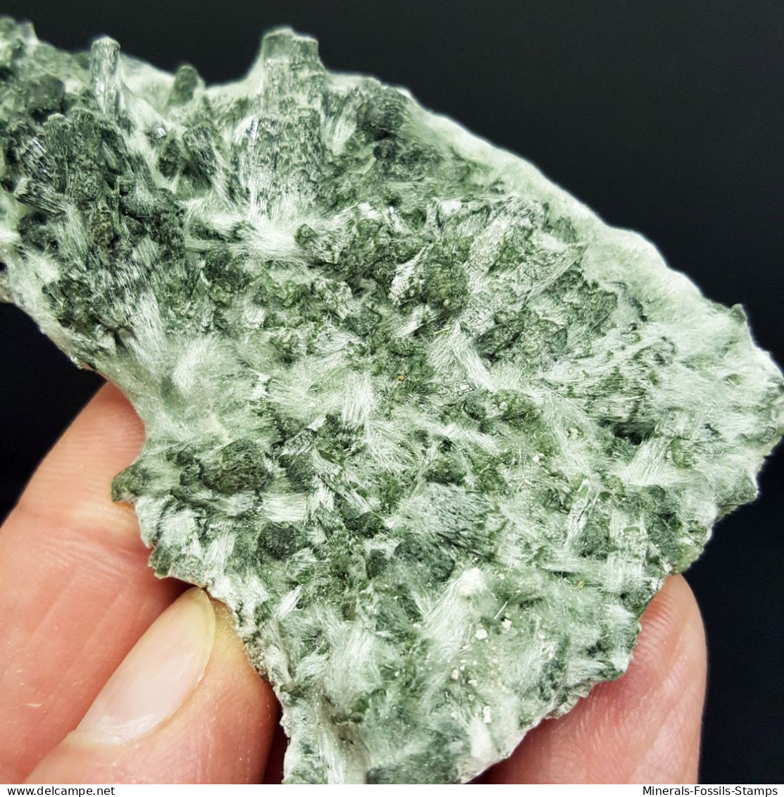 #1.02 - RARA TRAVERSELLITE var. Diopside cristalli (Traversella Mine, Torino, Piemonte, Italia)