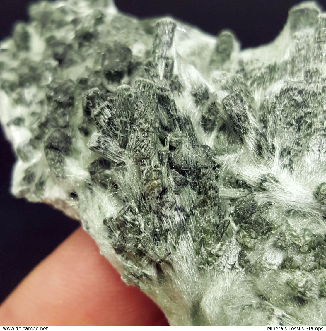 #1.02 - RARA TRAVERSELLITE var. Diopside cristalli (Traversella Mine, Torino, Piemonte, Italia)