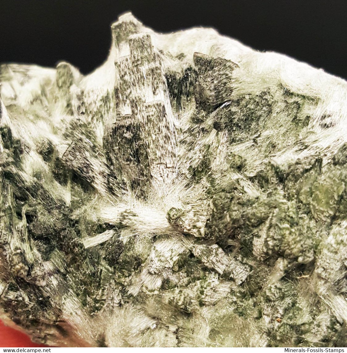 #1.02 - RARA TRAVERSELLITE var. Diopside cristalli (Traversella Mine, Torino, Piemonte, Italia)