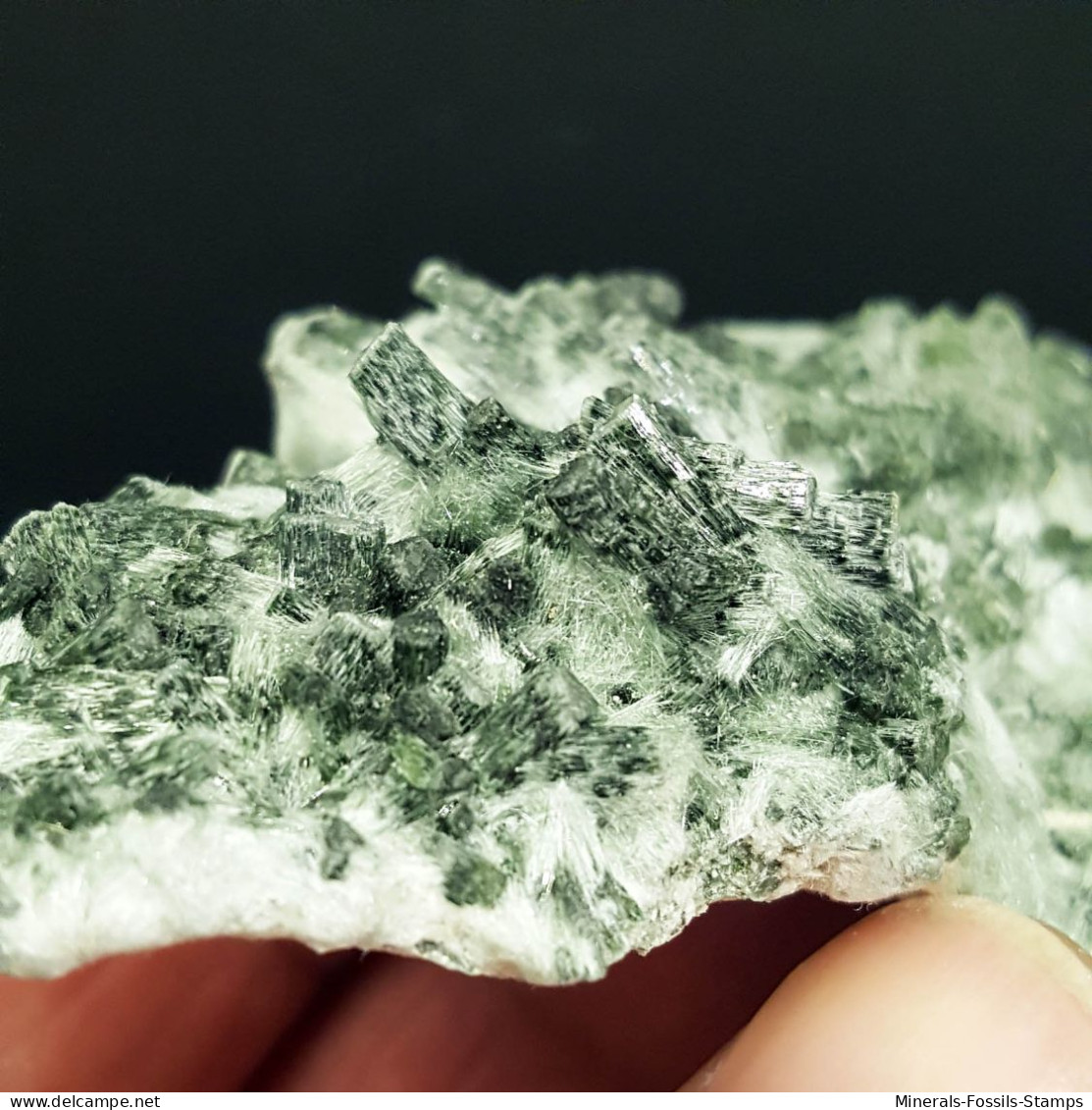 #1.02 - RARA TRAVERSELLITE var. Diopside cristalli (Traversella Mine, Torino, Piemonte, Italia)