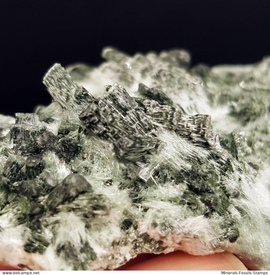 #1.02 - RARA TRAVERSELLITE var. Diopside cristalli (Traversella Mine, Torino, Piemonte, Italia)