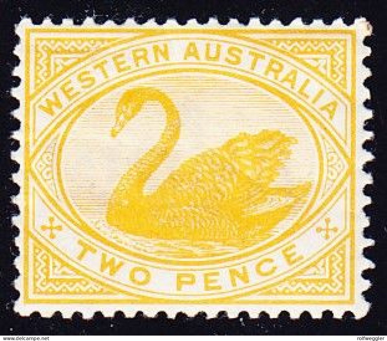 1899/1906 2d Gelb, Postfrisch Und 1s Olivgrün, Mit Erstfalz. Schwan. - Mint Stamps