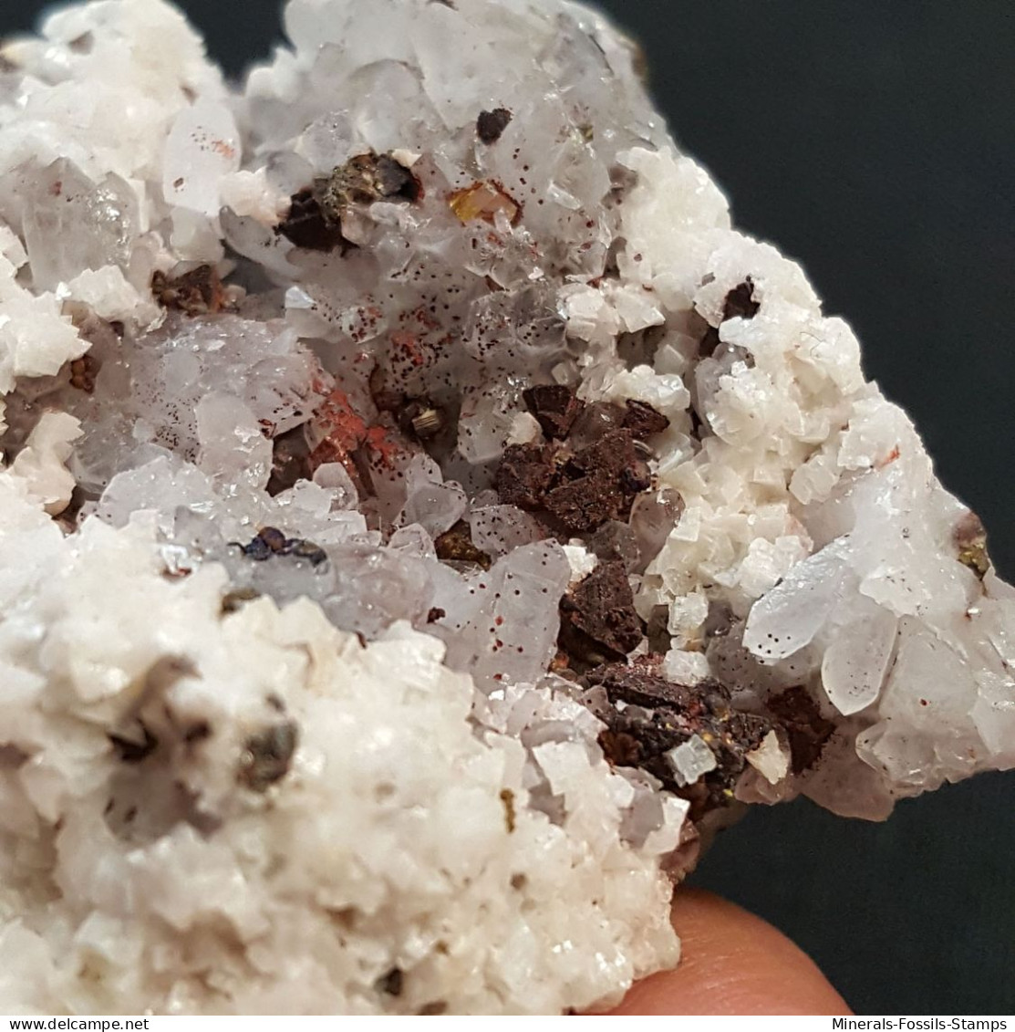 #1.18 - Bel QUARZO con Dolomite e Chalcopyrite cristalli (Dalnegorsk, Primorskiy Kray, Russia)