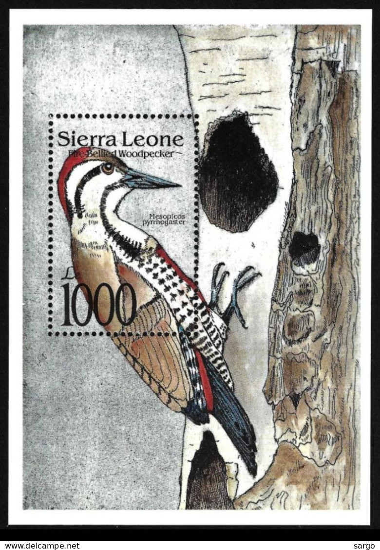 SIERRA LEONE  - 1992 - BIRDS - UCCELLI - 1 V -  MNH -  WOODPECKER - Piciformes (pájaros Carpinteros)