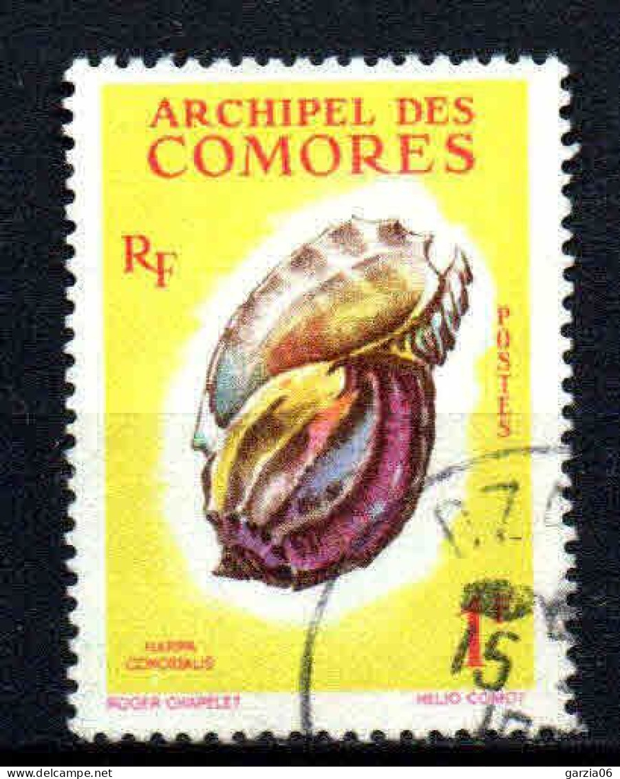 Archipel Des Comores  - 1962  - Coquillages-  N° 20   - Oblit - Used - Usados