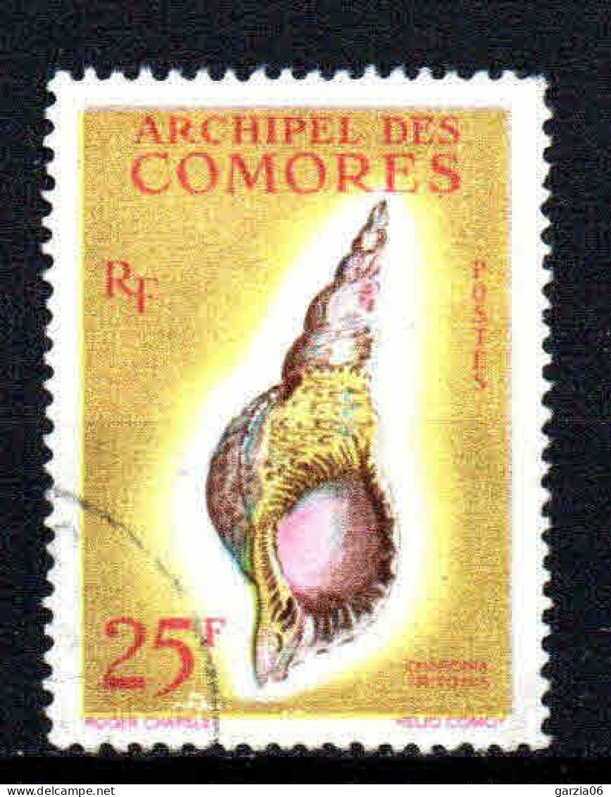 Archipel Des Comores  - 1962  - Coquillages-  N° 24   - Oblit - Used - Used Stamps