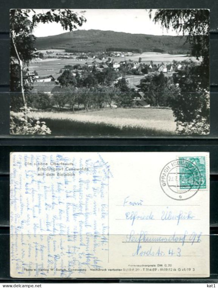 K19311)Ansichtskarte: Cunewalde, Panorama, Gelaufen 1960 - Cunewalde