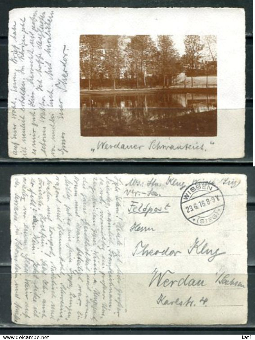 K19332)Ansichtskarte: Werdau, Schwanenteich, Gelaufen 1916 - Werdau