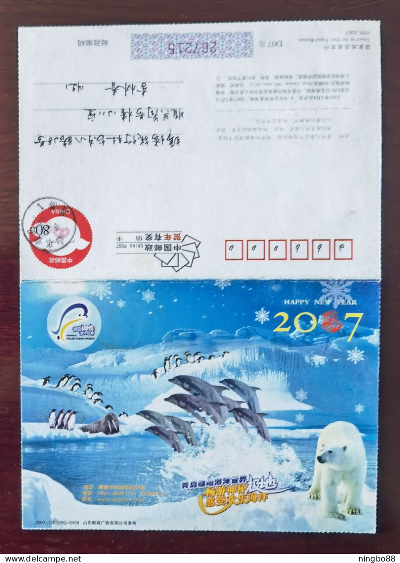 Polar Bear,Dolphin,Antarctic Penguin,Arctic Walrus,CN07 Qingdao Polar Aquarium New Year Pre-stamped Letter Card - Delfines