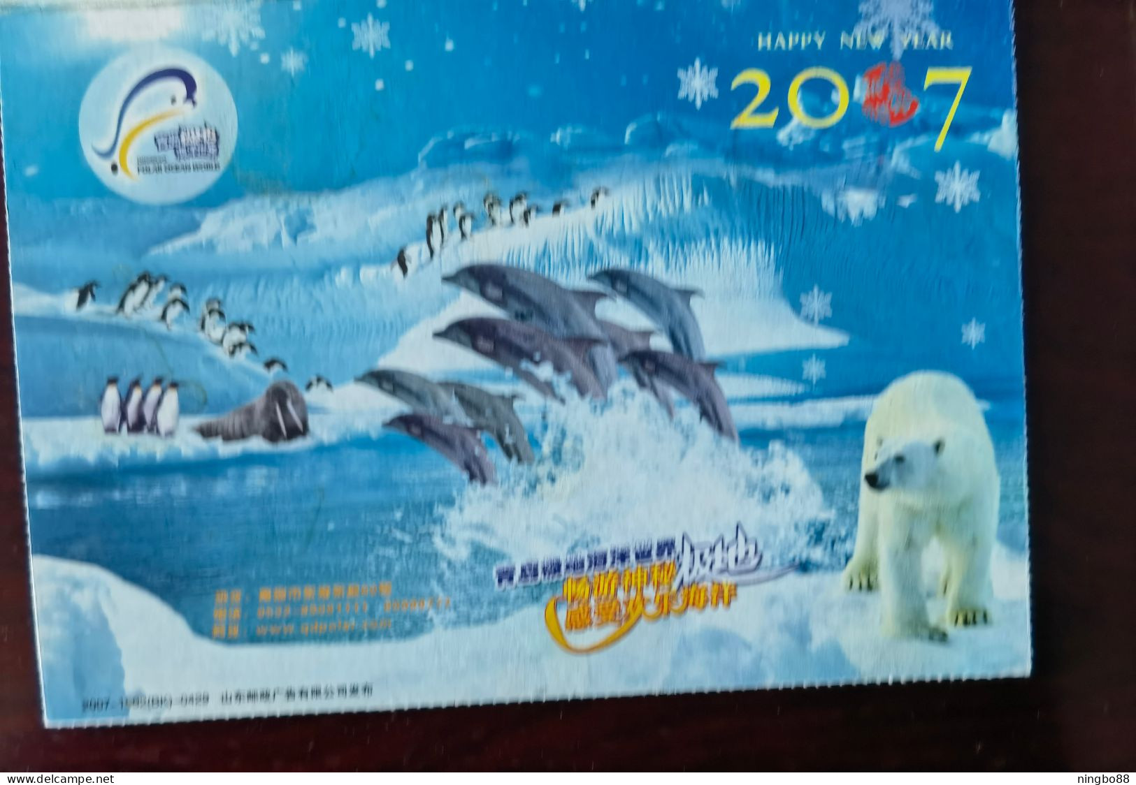 Polar Bear,Dolphin,Antarctic Penguin,Arctic Walrus,CN07 Qingdao Polar Aquarium New Year Pre-stamped Letter Card - Dauphins